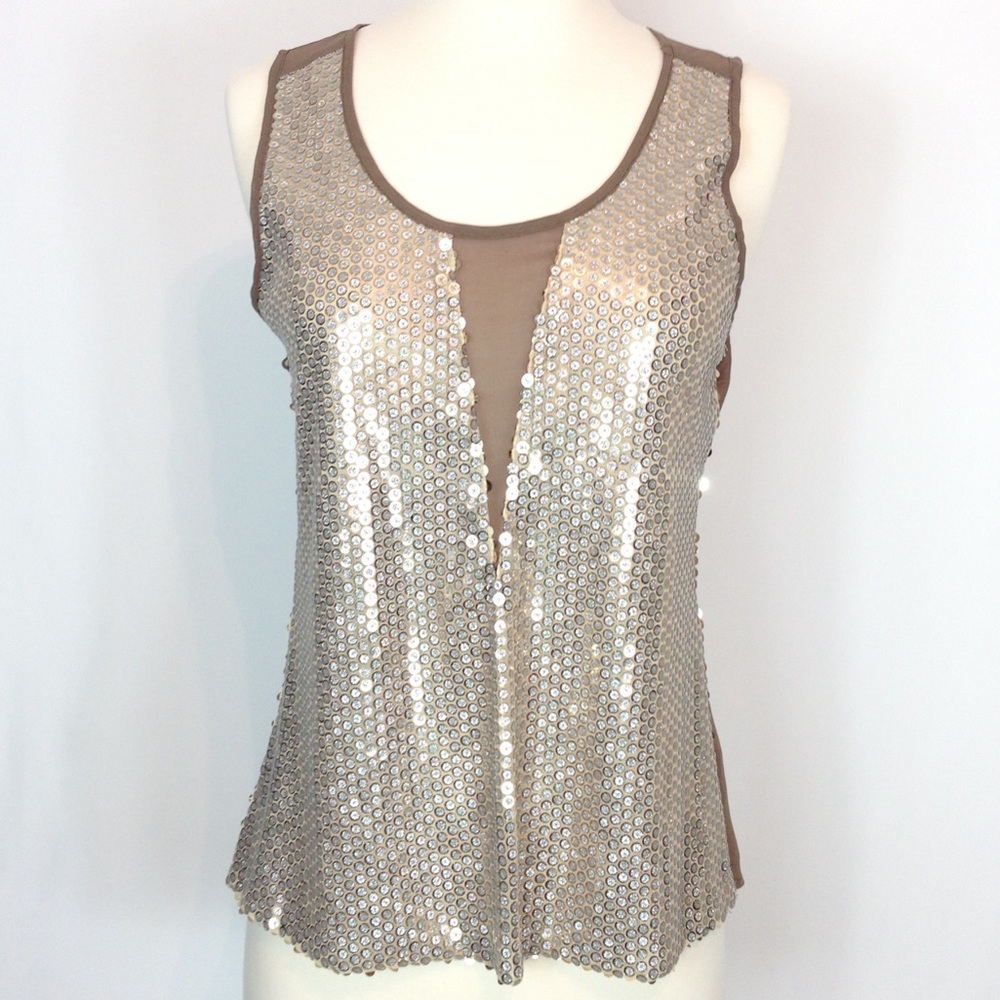 BKE Boutique Sheer Sleeveless Top